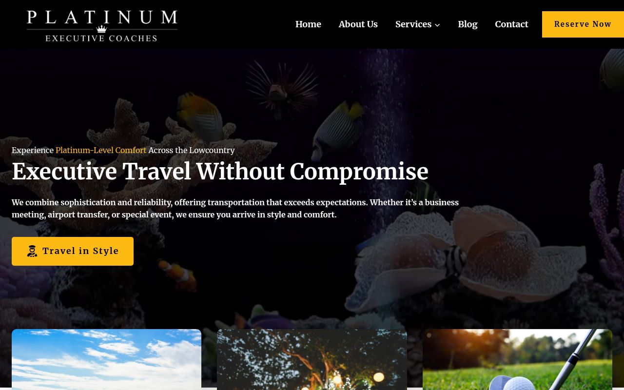 Platinum Executive Coaches