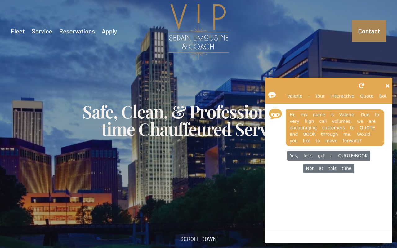 VIP Sedan, Limousine & Coach Image